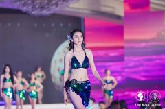 芪以其补气养血、固本止汗的功能而备受推崇龙